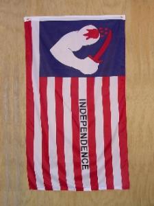 store/p/BROWN_S_FLAG_OF_INDEPENDENCE_1835_3X5_PRINTED